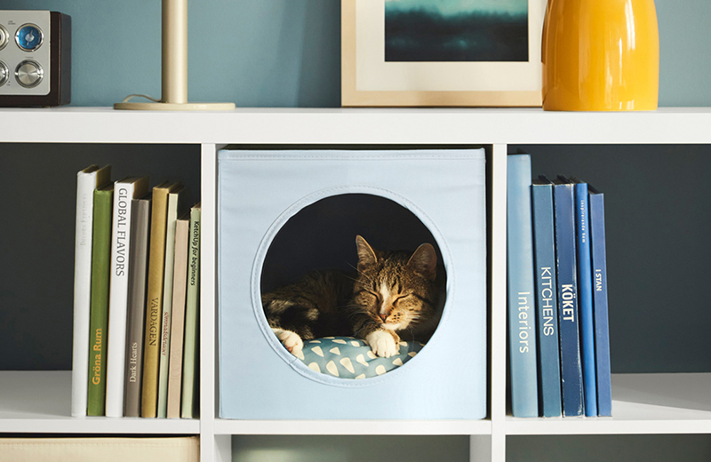 IKEA - Kedi tüyü temizleme: Evde kedi tüyü nasıl temizlenir?