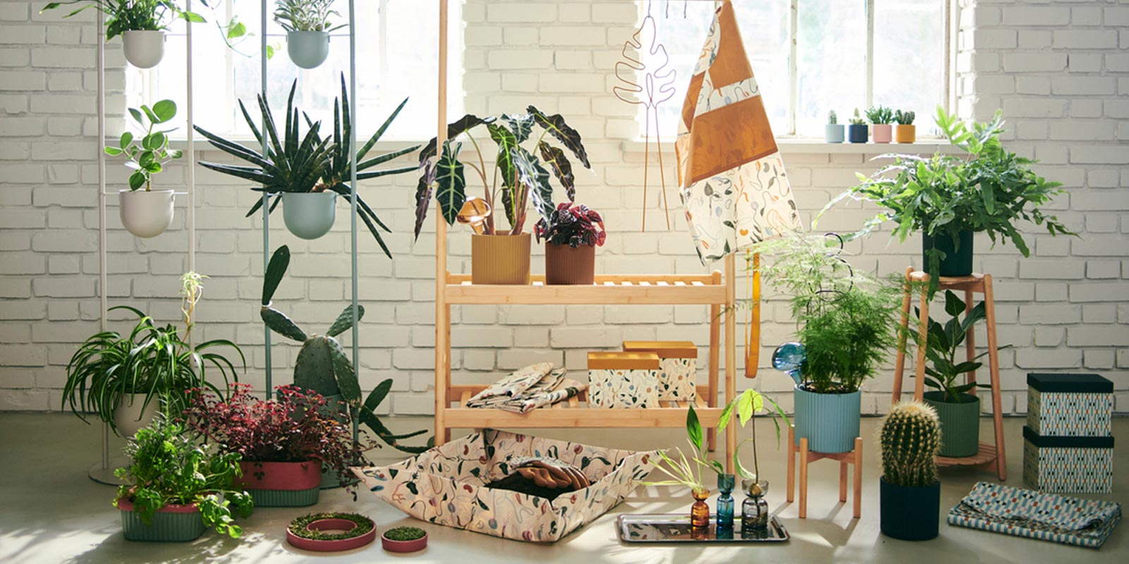 IKEA-buyumek icin alan 1