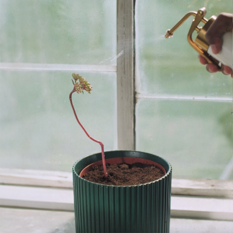 IKEA-buyumek icin alan 4