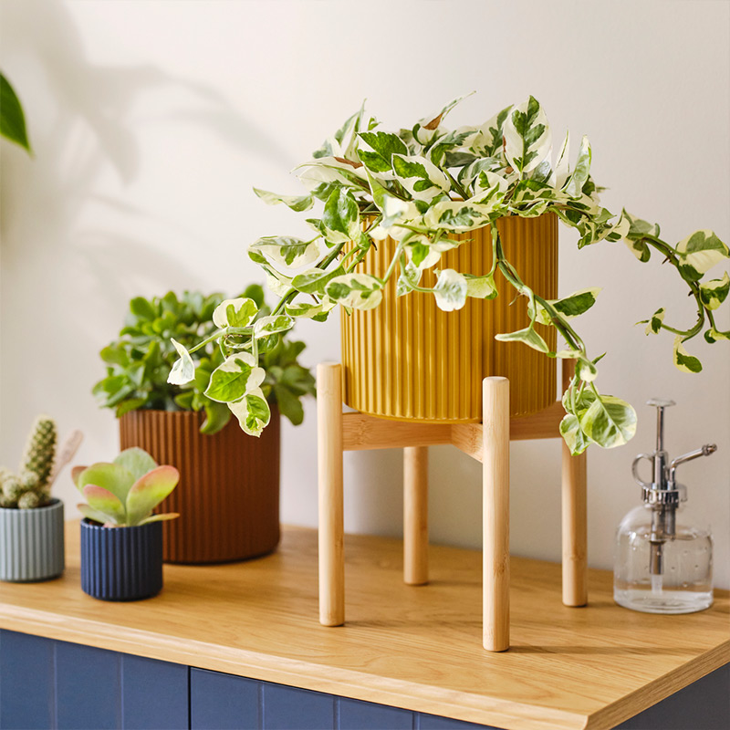 IKEA-buyumek icin alan 6