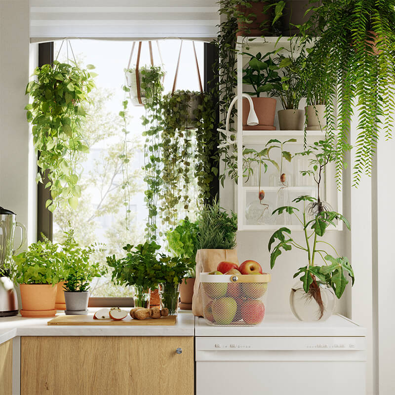 IKEA-dogal ve dikey duvar bitkileriyle dekorasyon 14