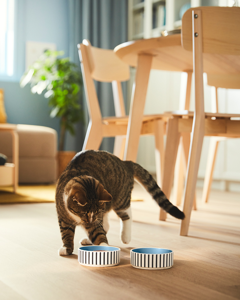 IKEA-evde kedi tuyu nasil temizlenir 5