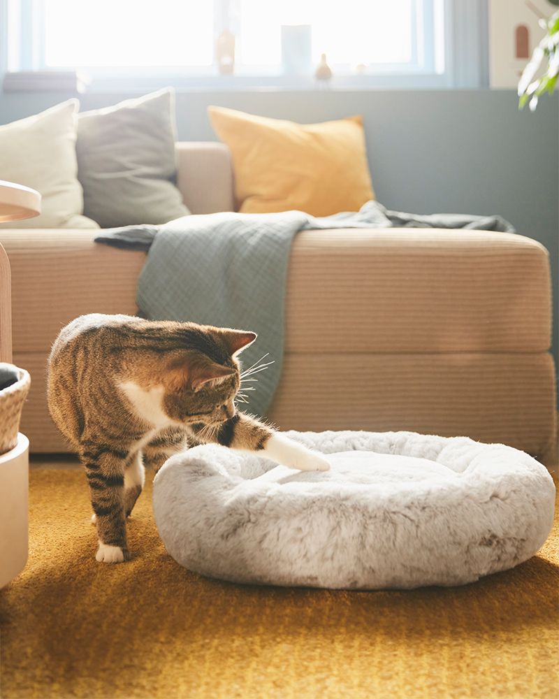 IKEA-evde kedi tuyu nasil temizlenir 7