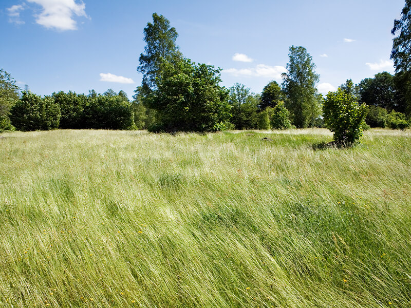 IKEA-feng shui stilinde ev duzeni 04