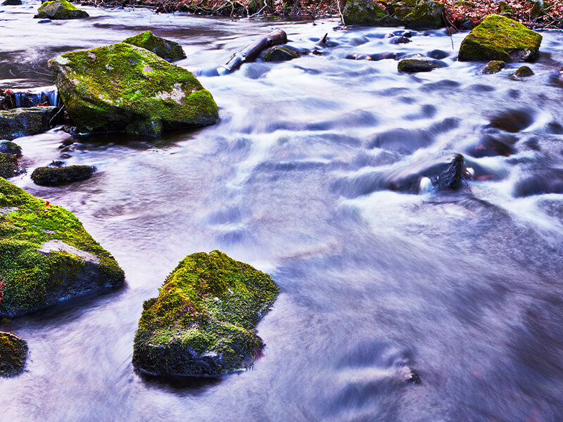 IKEA-feng shui stilinde ev duzeni 05