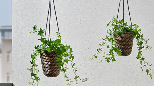 IKEA Hanging Planters