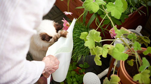 IKEA Gardening Accessories