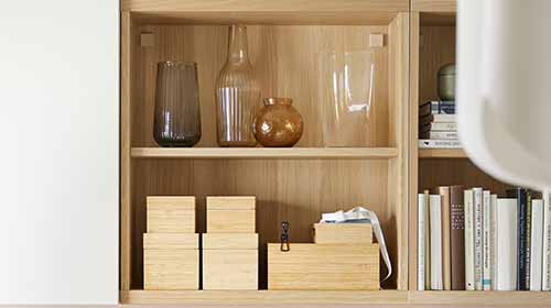 IKEA BESTA Shelves