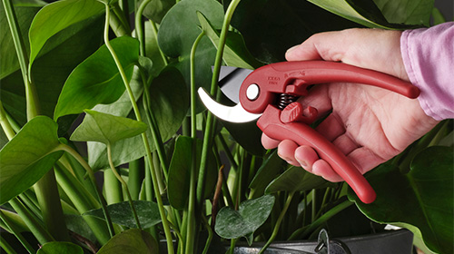 IKEA Pruning Scissors