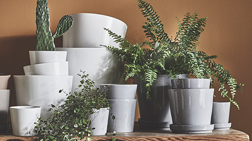 IKEA Soil And Ceramic Pots