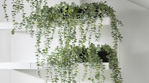 IKEA Artificial Plants and Flowers