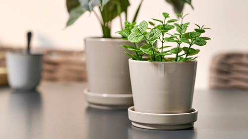 IKEA Artificial Plants