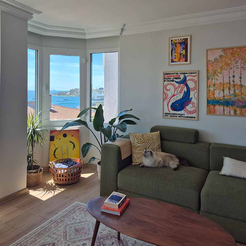 IKEA-aleyna musellimoglu evi 1
