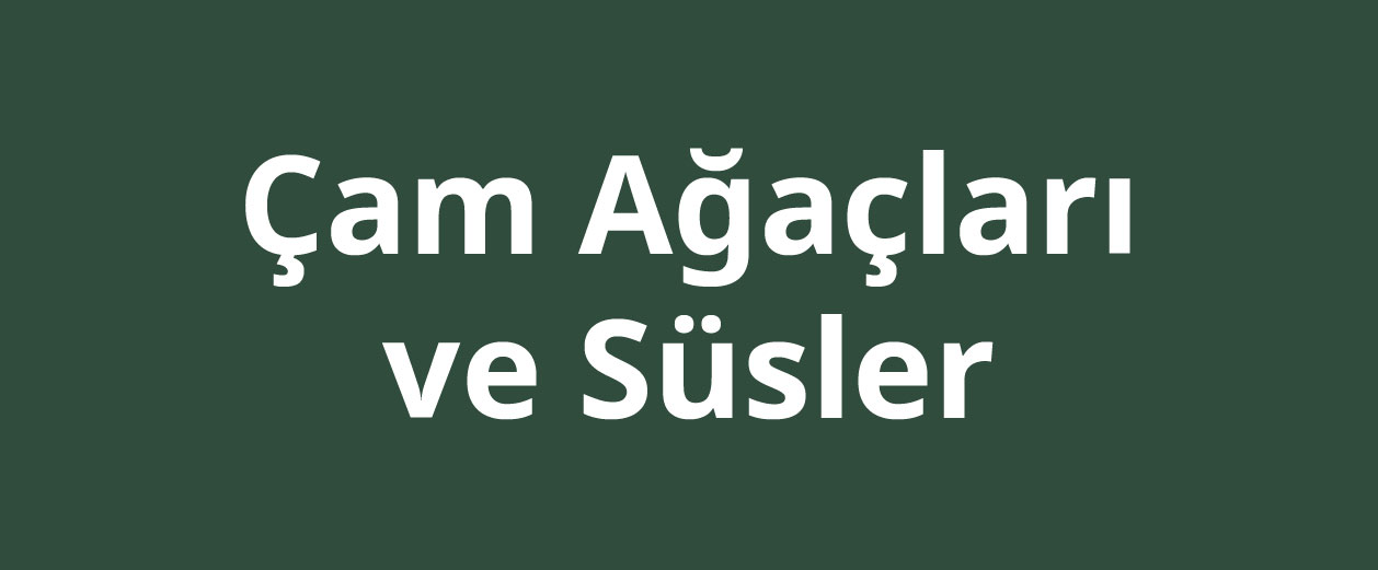 IKEA-cam agaclari ve susler 2