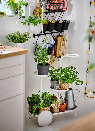 IKEA-chilistran beyaz ciceklik 2