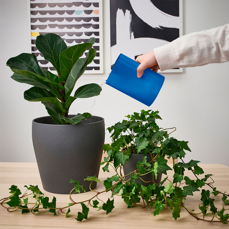 IKEA-chilifrukt parlak mavi vazo sulama kabi