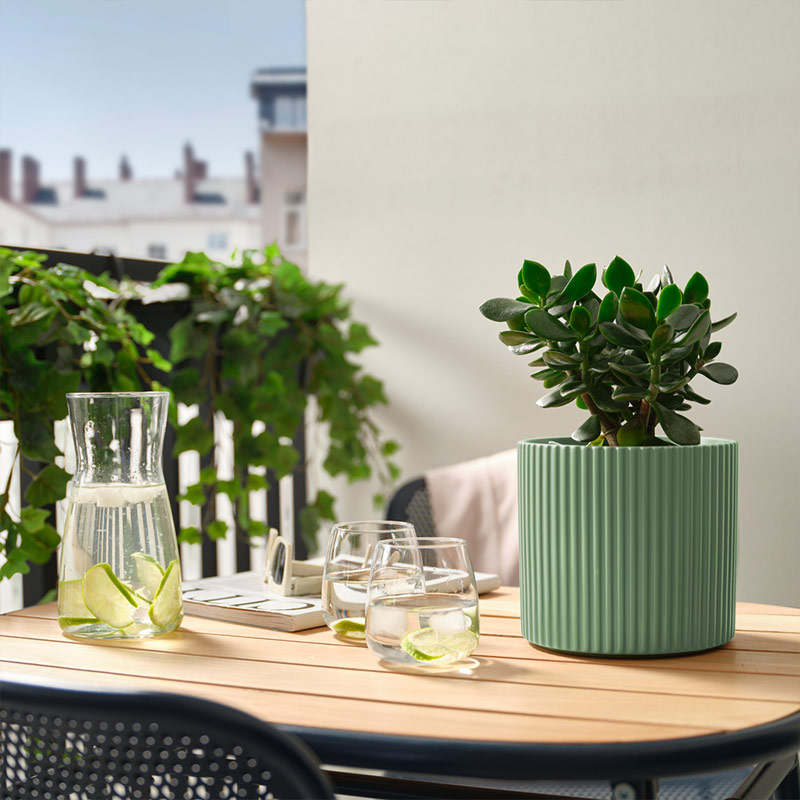 IKEA-daksjus acik yesil toprak saksi