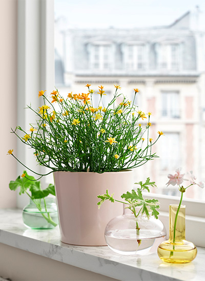 IKEA-ciceklik saksilik 4