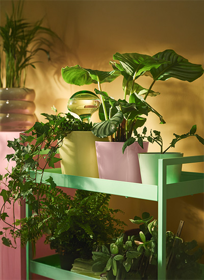 IKEA-ciceklik saksilik 6