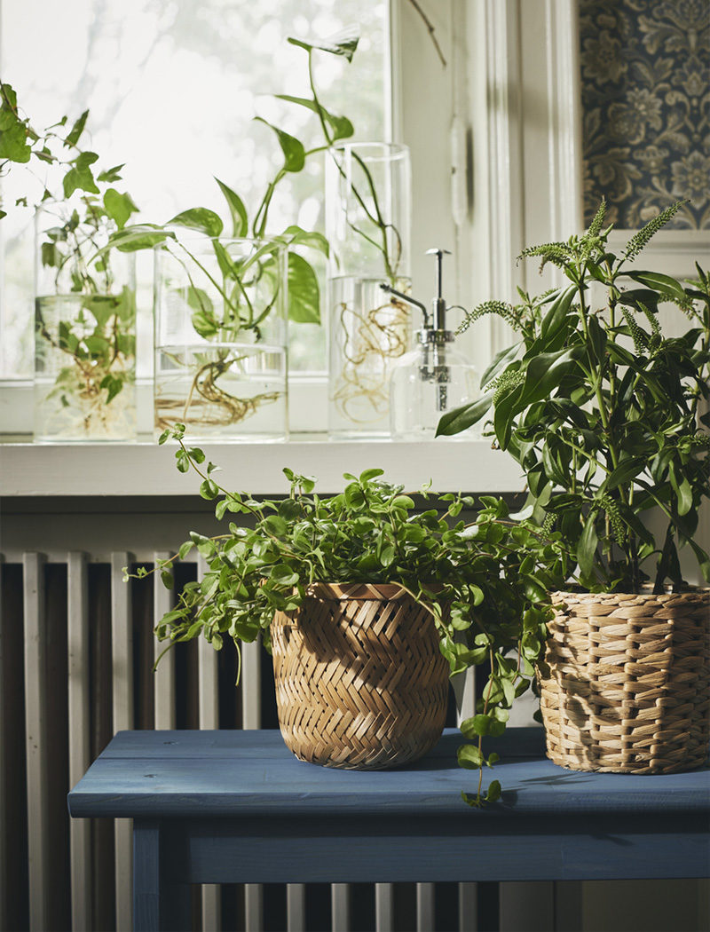 IKEA-fridfull rattan saksi