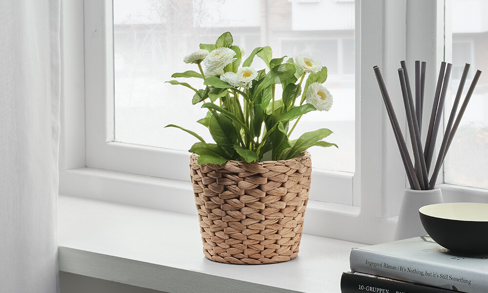 IKEA-fridfull su sumbulu rattan saksi 01