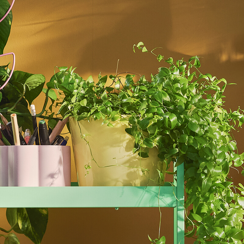 IKEA-sojabona acik sari toprak saksi 02