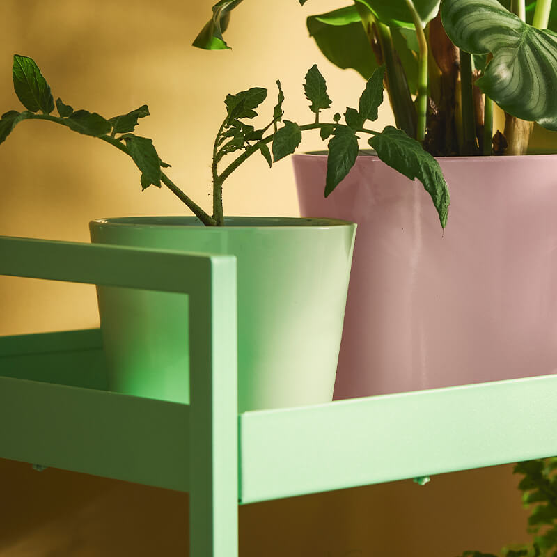 IKEA-sojabona acik yesil toprak saksi 02