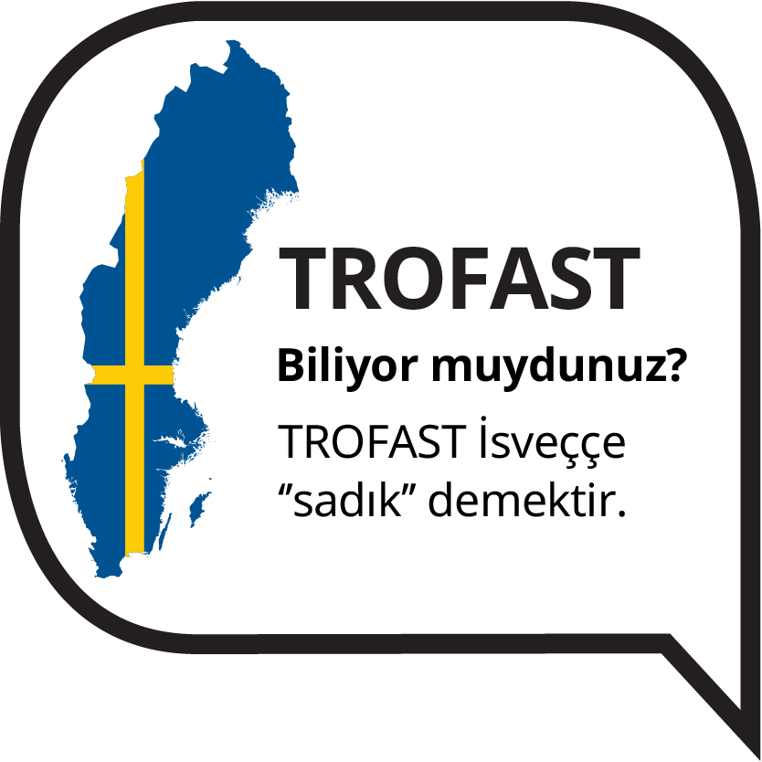 IKEA-trofast isveclilik 2 tr