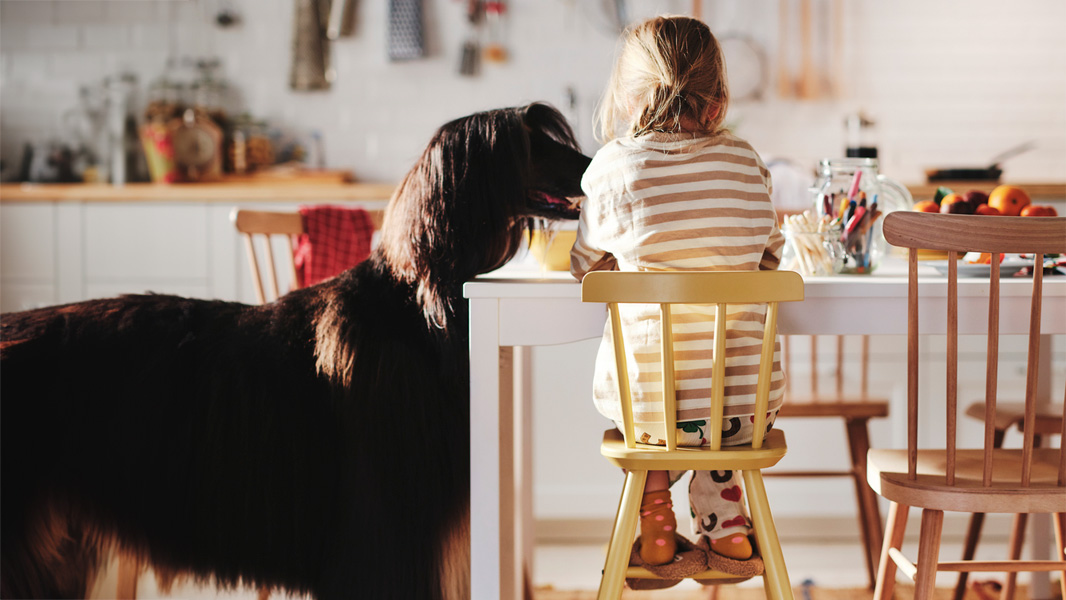 IKEA-yardimci sefinizle tanisin