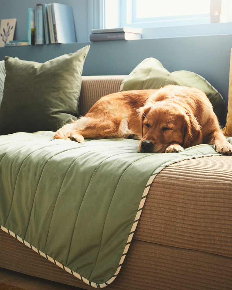 IKEA-utsadd evcil hayvan battaniyesi