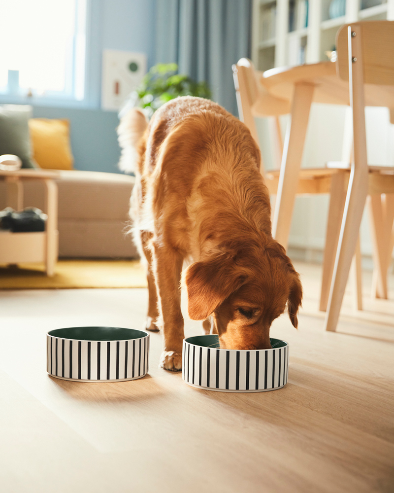 IKEA-utsadd kedi kopek mama kabi