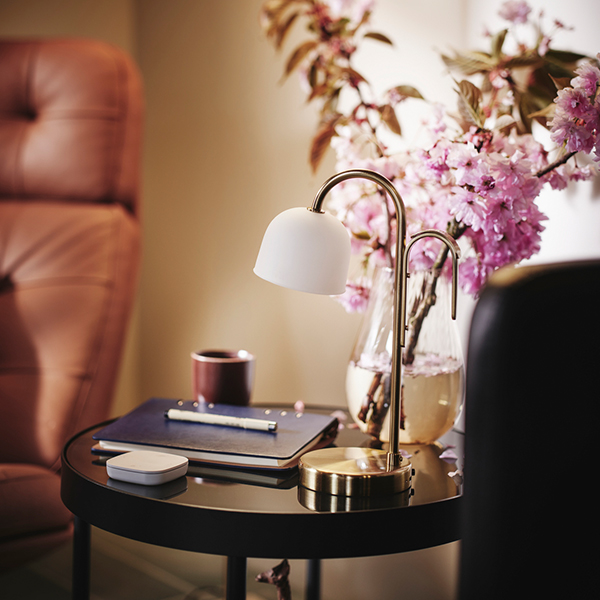 IKEA-tvamastad masa lambasi