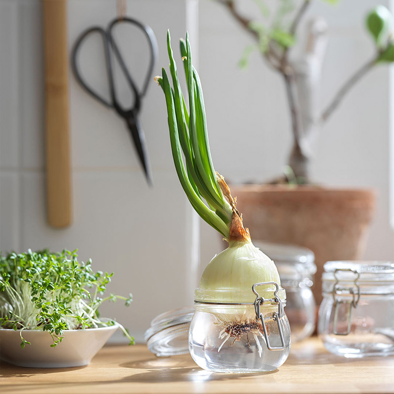 IKEA-korken cam 0 5 lt kapakli cam kavanoz 2