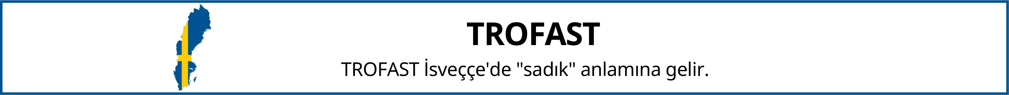 IKEA-trofast isveclilik tr 1