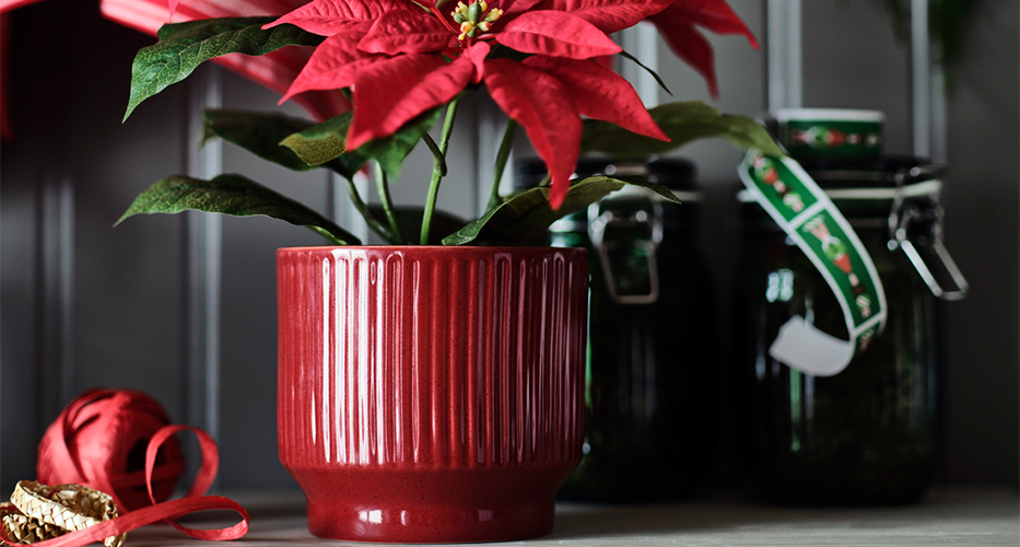 IKEA-vinterfint seramik saksi