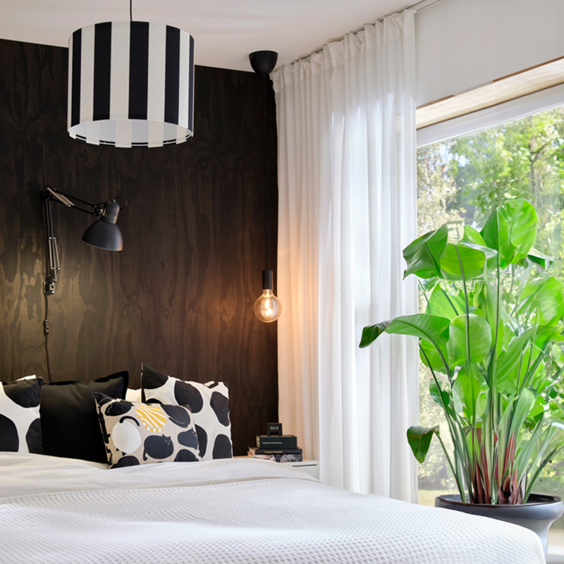 IKEA-rosenrobinia tul perde 1