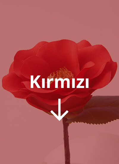 IKEA-kirmizi tr 01