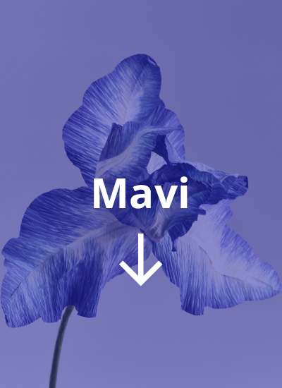 IKEA-mavi tr 01