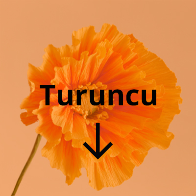 IKEA-turuncu tr 01