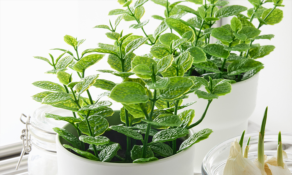 IKEA-fejka yesil yapay bitki web