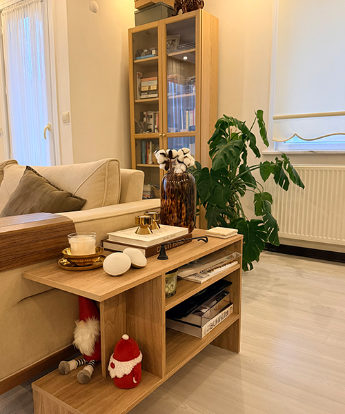 IKEA-ceren berksoy evi kapak 2