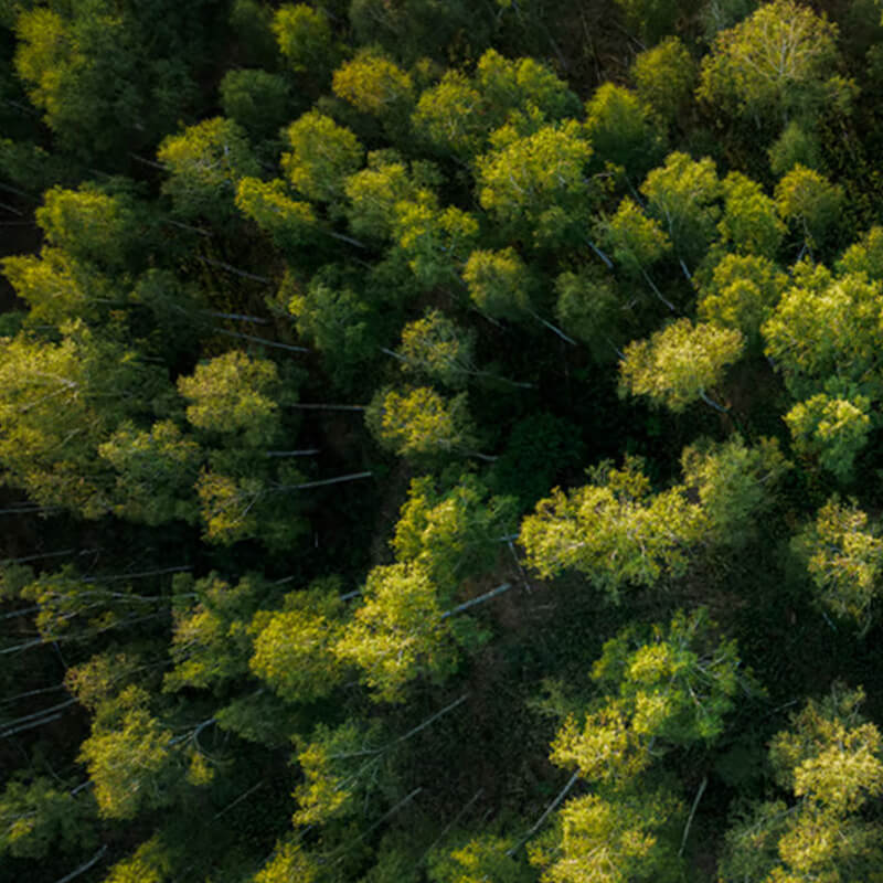 IKEA-surdurulebilir malzeme ahsap 01 app