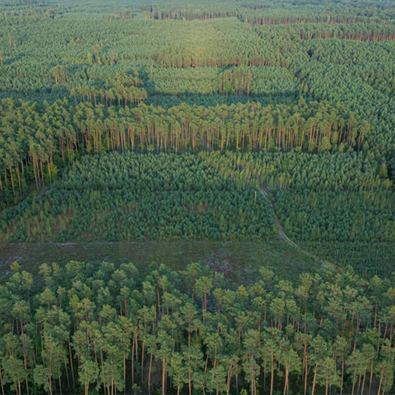 IKEA-surdurulebilir malzeme ahsap 03