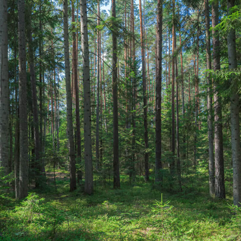 IKEA-surdurulebilir malzeme ahsap 04