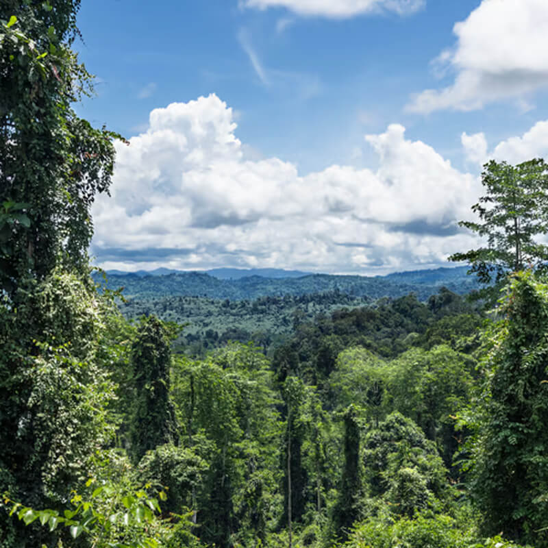 IKEA-surdurulebilir malzeme ahsap 14