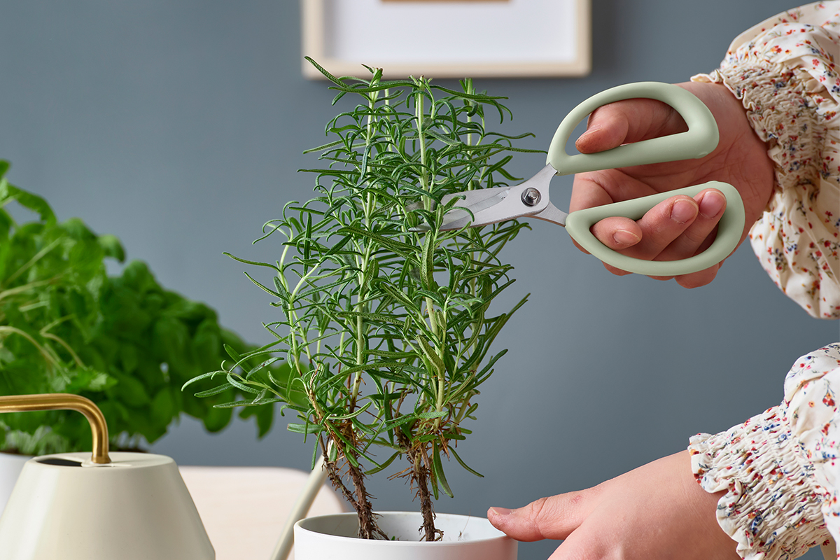 IKEA-daha surdurulebilir beslenmek icin kolay cozumler 07