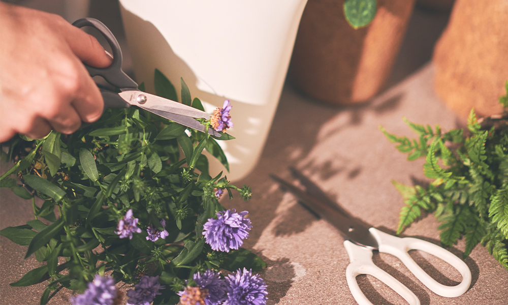 IKEA-daha surdurulebilir beslenmek icin kolay cozumler 09 web