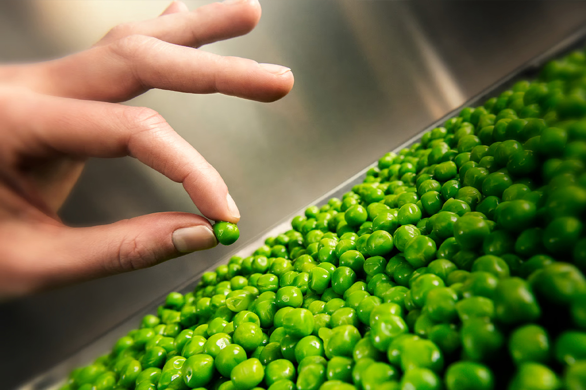 IKEA-evde atiklari azaltmanin basit yollari 12