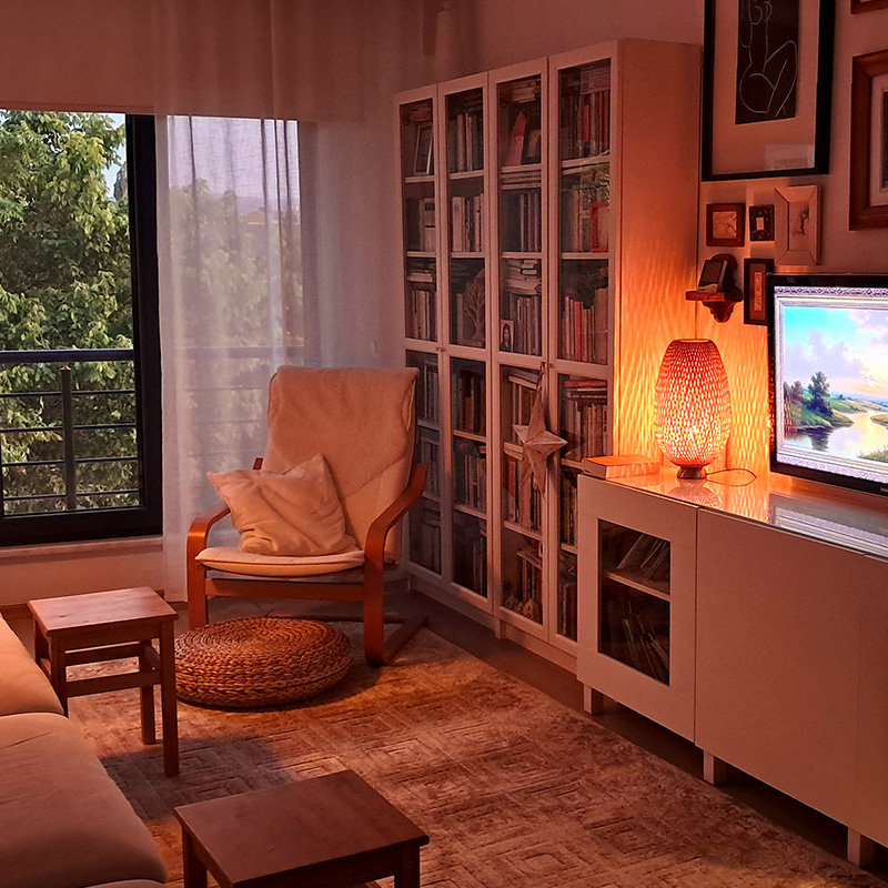 IKEA-aleyna musellimoglu evi