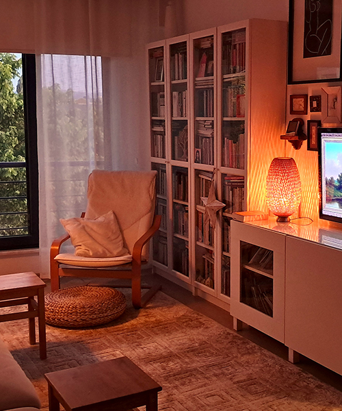IKEA-ozge oztekin evi kapak 2